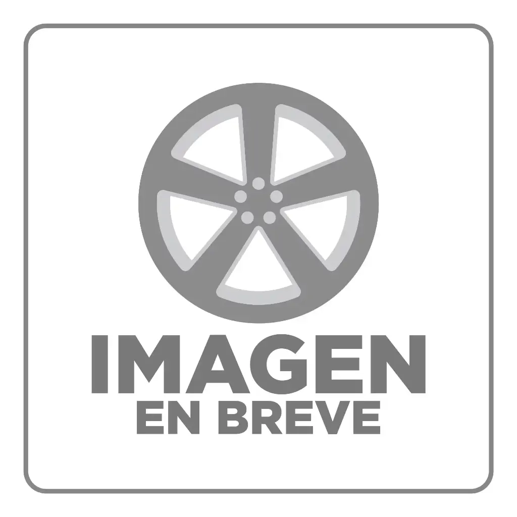 RIN 14X6 4-100/114.3 R1 SPORT 1134 SILVER MACHINE FACE ET30 CB73.1